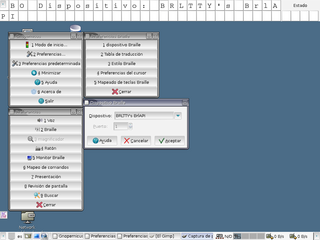 captura de las ventanas de configuración de una terminal braille 
	con gnopernicus